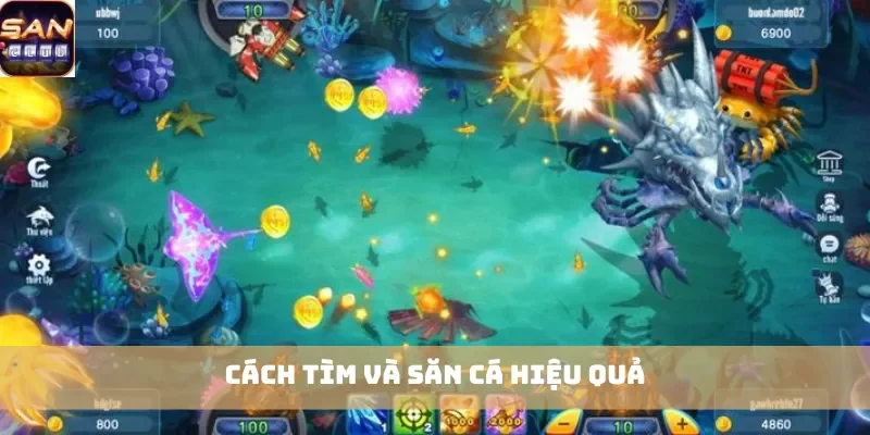 Cách tìm và săn cá hiệu quả